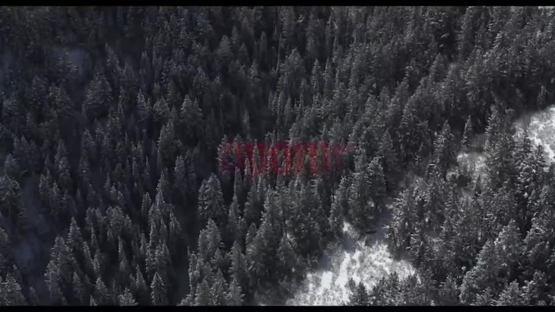 Оборотень (2020) Русский