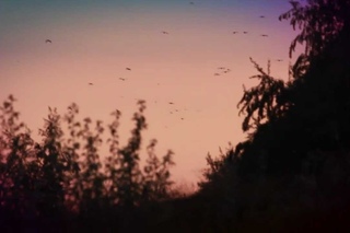 Sunset, autumn footage