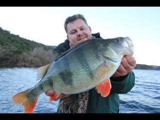 FlussBarsche in Spanien mit Taffi-Tackle-Tours