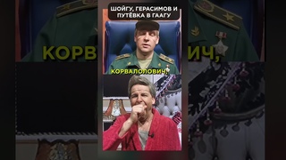 Путевка в Гаагу для ШОЙГУ и ГЕРАСИМОВА!  #shorts
