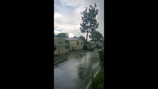 Freak Storm