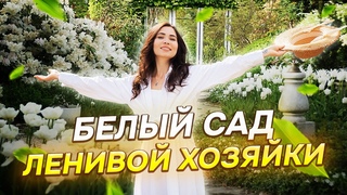 ✅ПРОВЕРЕННЫЕ кустарники для маленького участка! 18 ЦВЕТУЩИХ многолетников