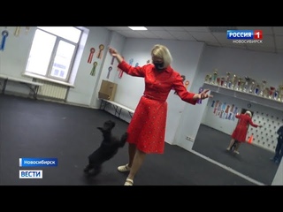 Новосибирцы станцуют с собаками на соревнованиях в Красноярске