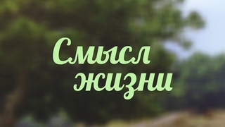 BS217 Rus 24. Смысл жизни и современность