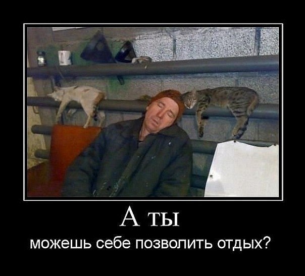 Лилия Шекшуева *Kudryashka* | Киев