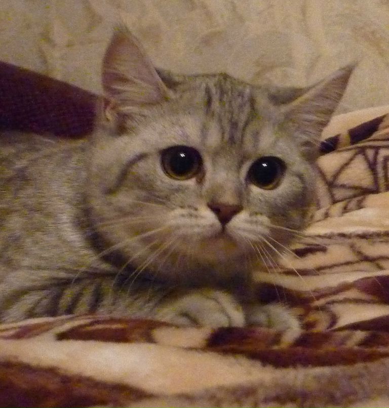 Светуля Ворончихина ♥ | Киров