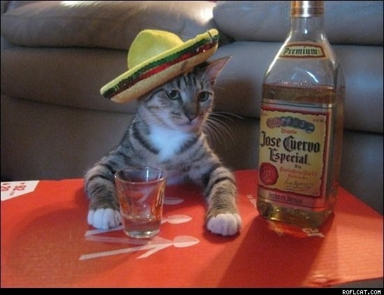 №76, Evgeniya Sherstyanyh, East Providence, США №76, Evgeniya Sherstyanyh, East Providence, США