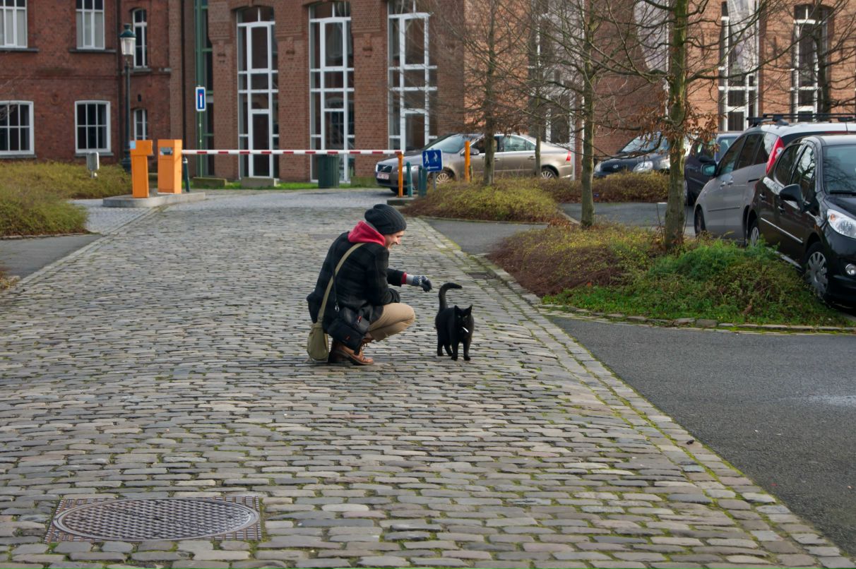 Марина Грошевая | Москва