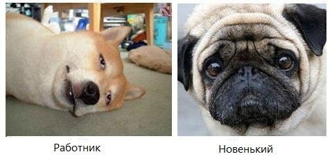 №1, Юля Донец №1, Юля Донец