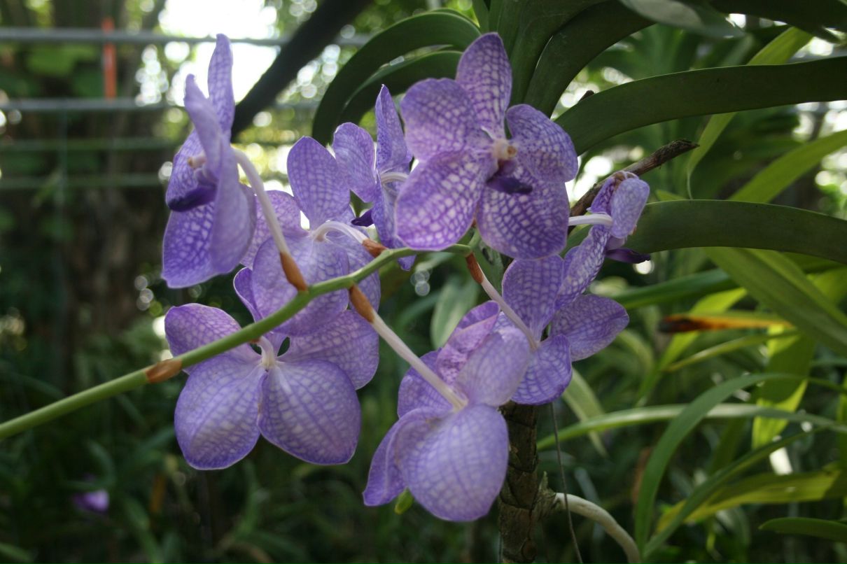 Сергей Наранек | Москва