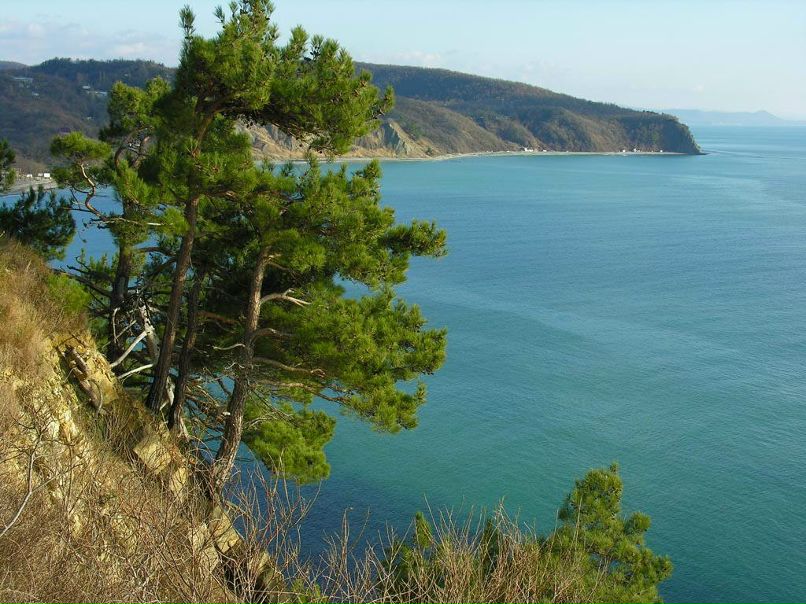 Наталья Ганиева | Tokyo