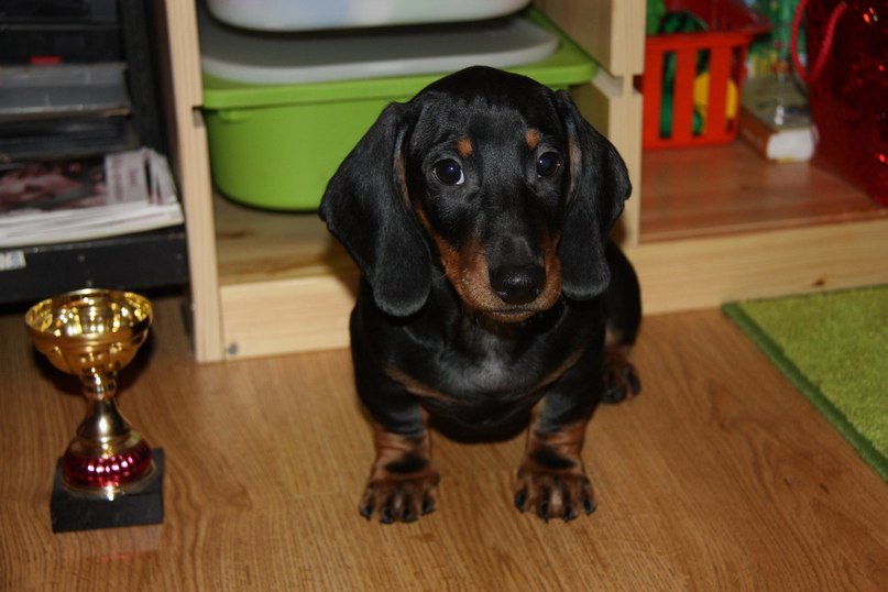 Карина Денежных | Москва