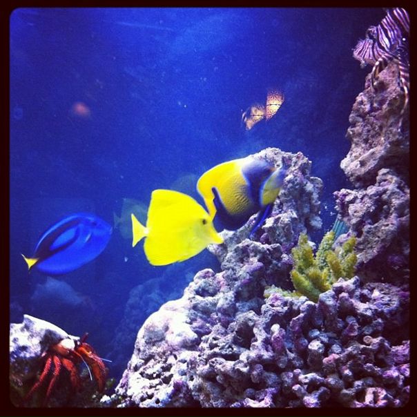 №22, Оксана Струкова, Санкт-Петербург №22, Оксана Струкова, Санкт-Петербург