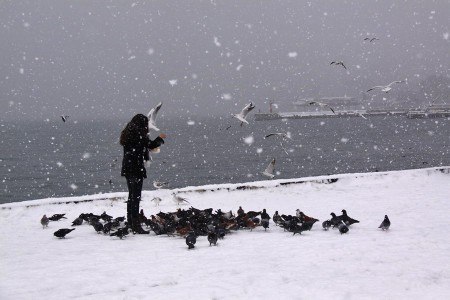 Елена Пак Однатакая | Керчь