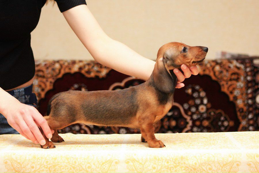 Инна Полищук | Нижний Новгород