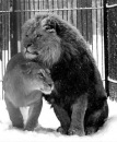 Фотография Смирновой Камиллы