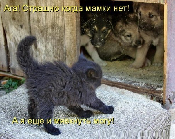 Лідія Лукіна | Кропивницкий / Кировоград