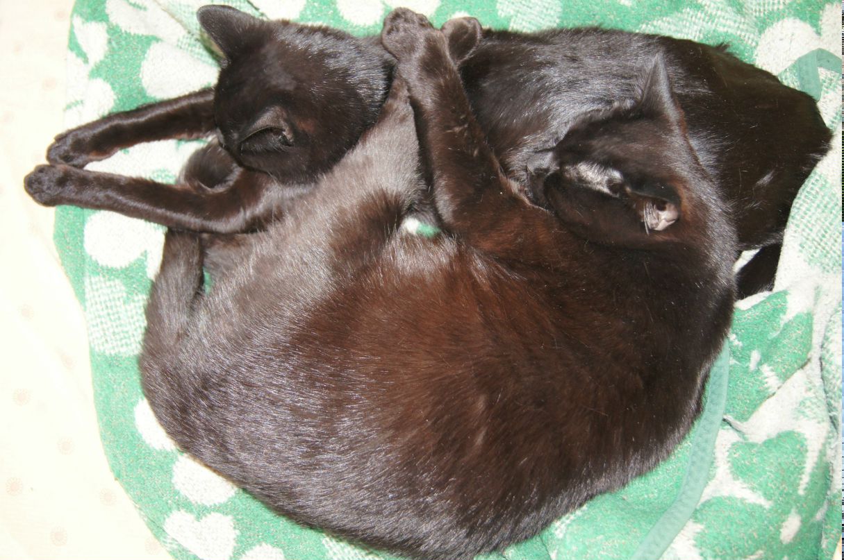 Сергей Матвеев | Санкт-Петербург