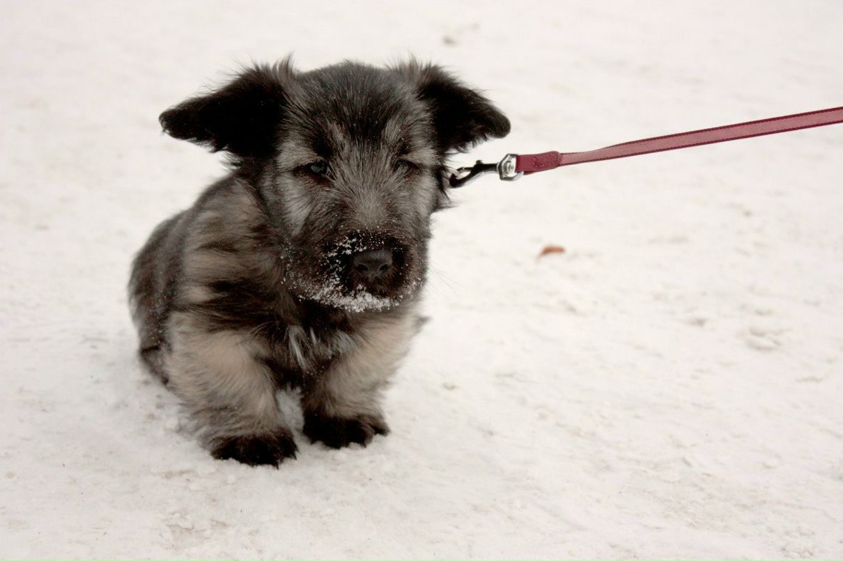 Ангелина Сартакова | Санкт-Петербург