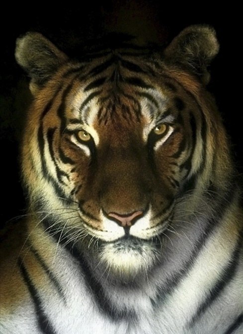 Галина Яковлева Николаевна | Красные Четаи