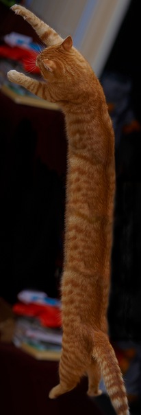 №12, Никита Михальков, 33 года, Москва №12, Никита Михальков, 33 года, Москва