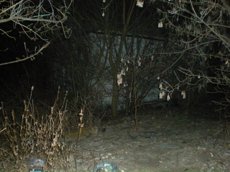 Дмитрий Петренко | Вентспилс