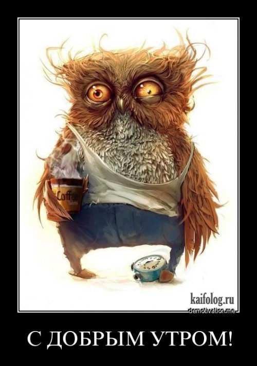 Стас Скор | Санкт-Петербург