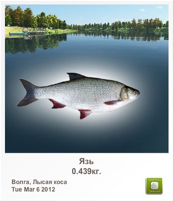 Ильшат Шакиров ***Син минеке - ... | Арск