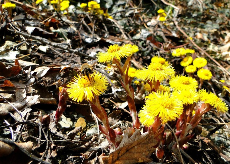 Ольга Яковлева | Екатеринбург
