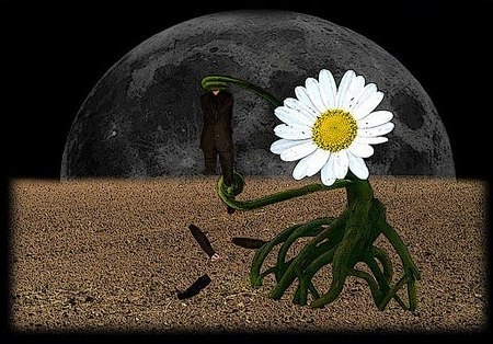 Роман Фокин | Киров