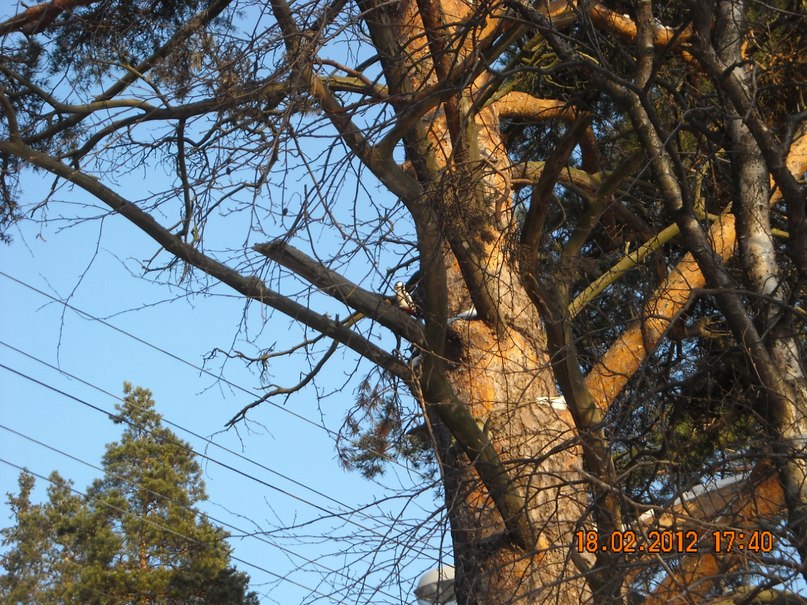 Юлия Малинина | Санкт-Петербург