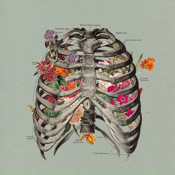 №66, Лена Курицына №66, Лена Курицына