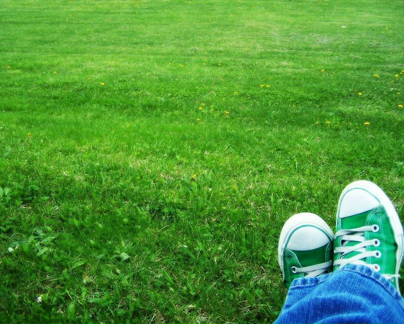 Олеся Макаревич | Львов