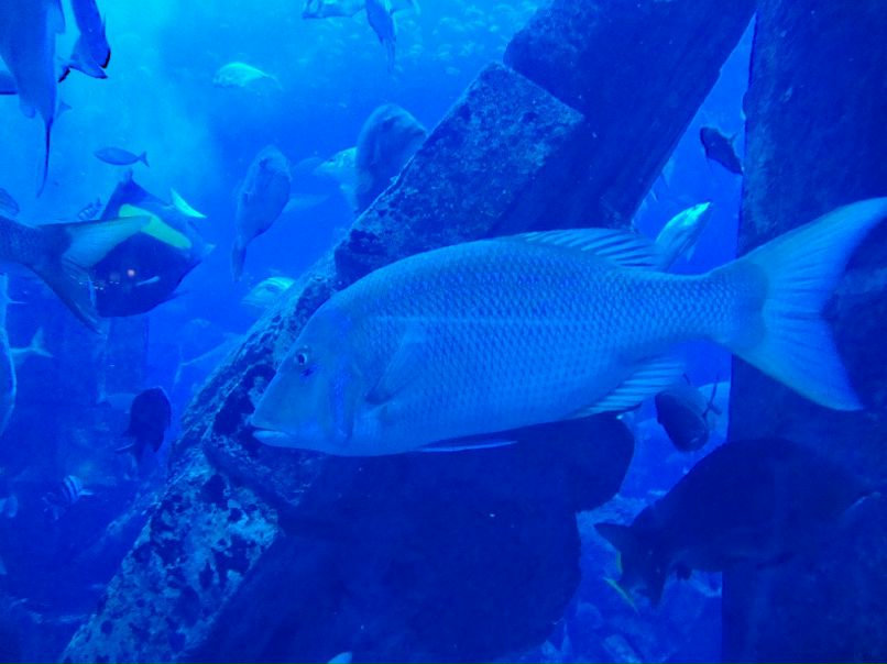 Серёга Агафонов | Харьков