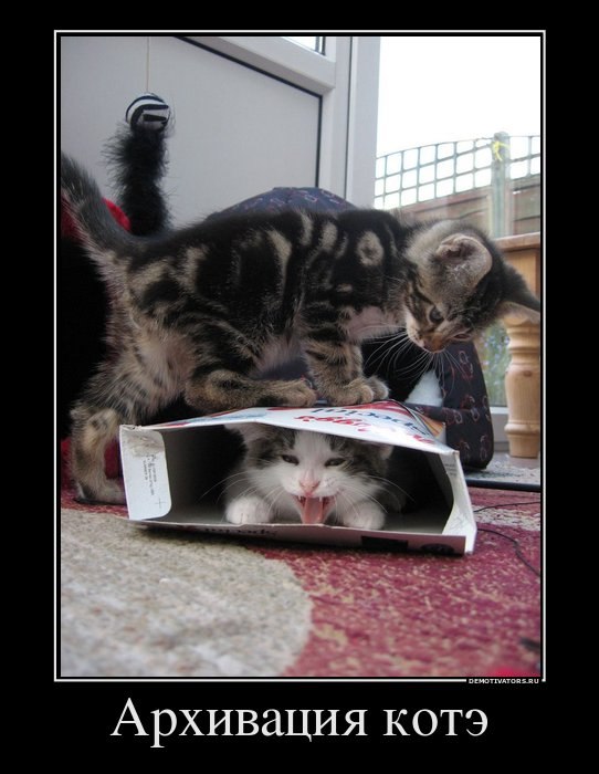 Сергей Поздняков | Санкт-Петербург