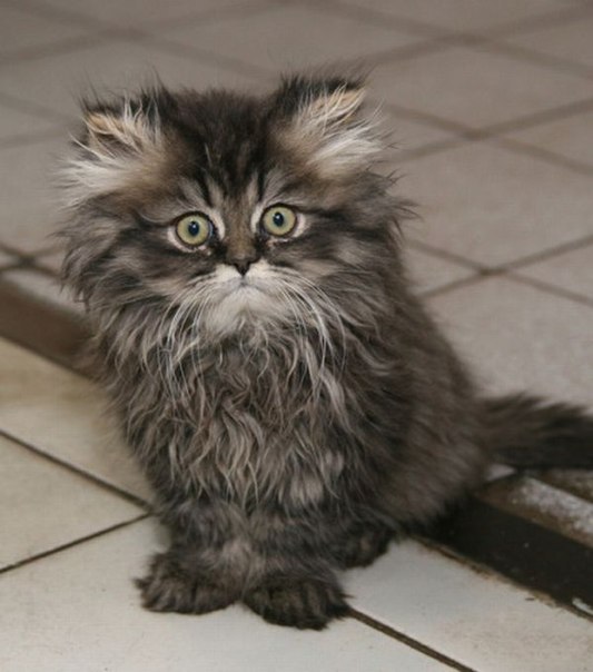 Яна Семёнова | Казань