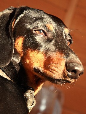 Максим Какотко 14.takSSa.88 | Ростов-на-Дону