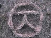 №22, Растаевший Мишка, 36 лет, Чернигов №22, Растаевший Мишка, 36 лет, Чернигов