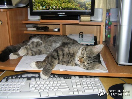 Елена Урманова | Омск