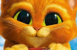 №54, Костя Мироненко №54, Костя Мироненко