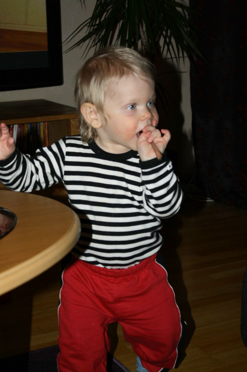 Jelena Jakobsson | Umeå