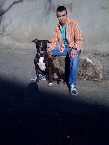 Tolea Tomsa | Кишинев