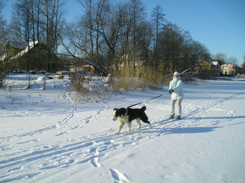 Наталия Перевозникова | Санкт-Петербург
