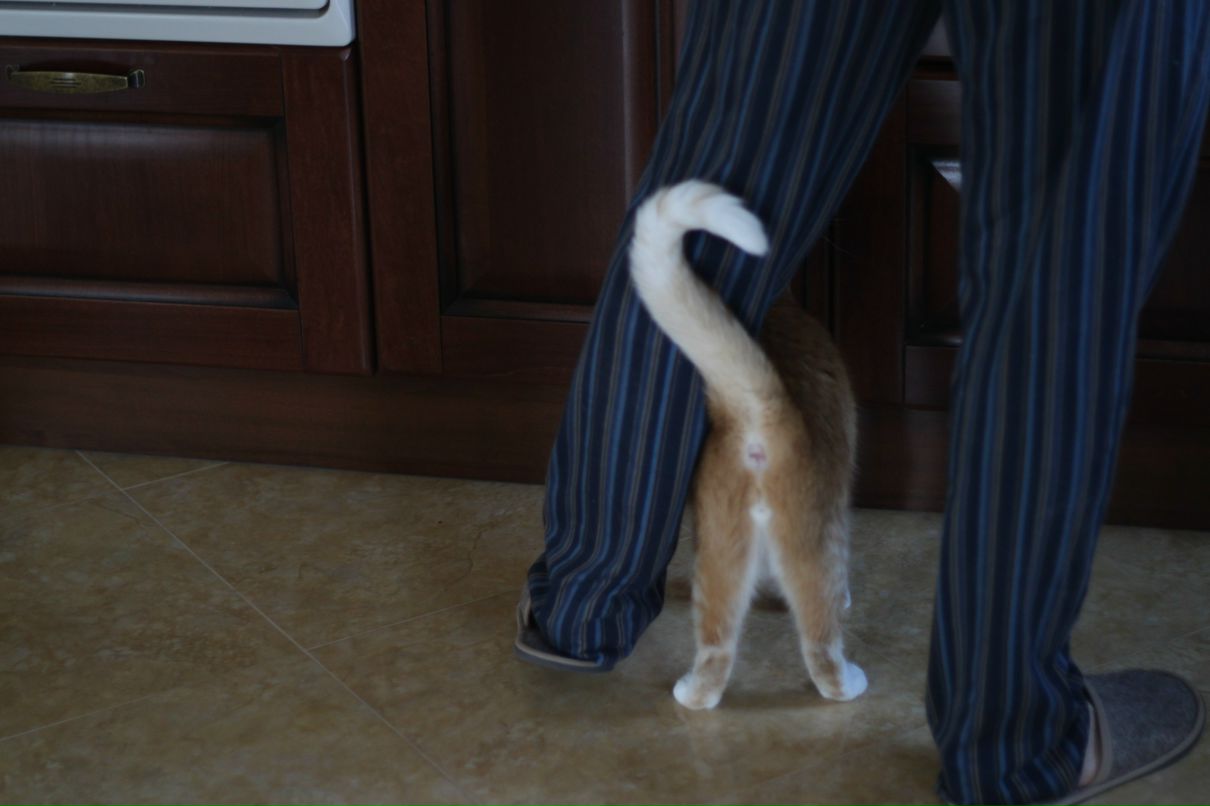 Андрей Королев | Казань