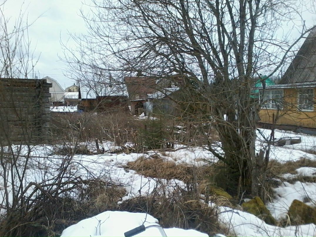 Александр Ревякин | Санкт-Петербург