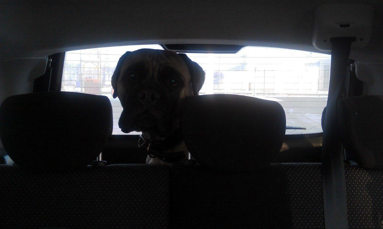 Марина Купцова | Санкт-Петербург