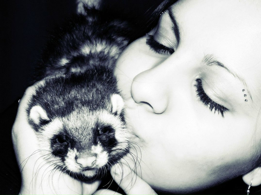 Yuki Eiri ‘๑’ | Ростов-на-Дону