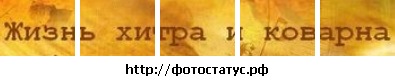 №71, Оксана Габінет, 34 года, Волочиск №71, Оксана Габінет, 34 года, Волочиск