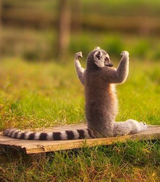 Алексей Володин Avenis | Тула