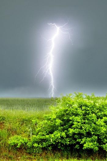 №20, Даниил Быков №20, Даниил Быков